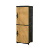 LEMARI PAKAIAN PLASTIK NAPOLLY 2 PINTU TIPE CLC 66.3R.K2